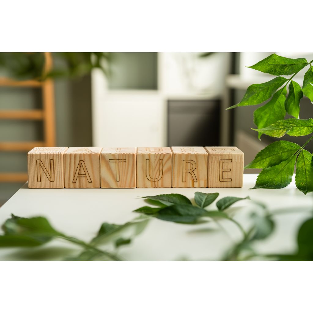 The word Nature, displayed with zippa.eu alphabet cubes. English alphabet cubes. Set of wooden blocks.